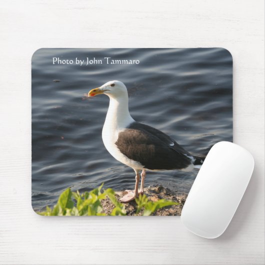 Foto durch John Tammaro Mousepad (Mit Mouse)