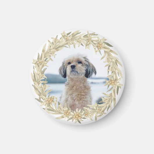 Foto Edelweiss Alpine Blumenstraume Magnet (Vorne)