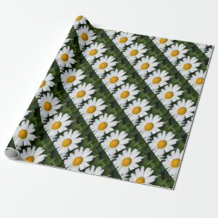 Foto, ein Gänseblümchen, grüner Hintergrund Geschenkpapier
