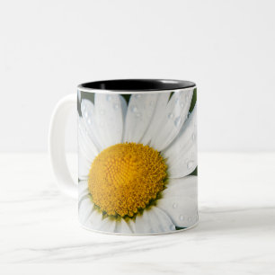Foto, ein Gänseblümchen, grüner Hintergrund Zweifarbige Tasse