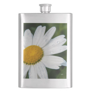 Foto, ein margueritte machen Grün Flachmann