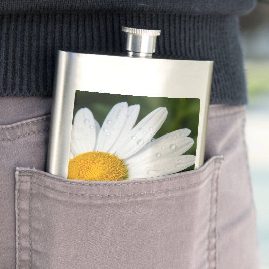 Foto, ein margueritte machen Grün Flachmann (Beispiel)