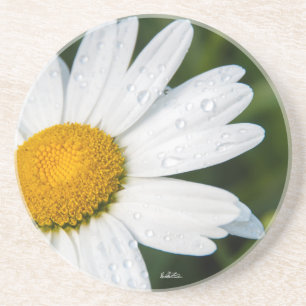 Foto, ein margueritte machen Grün Untersetzer