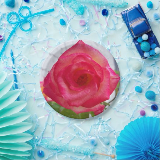 Foto einer auf einer Papiertafel nahen Rose Pappteller (Party)