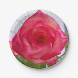 Foto einer auf einer Papiertafel nahen Rose Pappteller