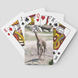 Foto einer Babygiraffe, die in der Natur spaziert Spielkarten