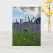 Foto einer Blume aus New England Blank Gruß Karte (Gelbe Blume)