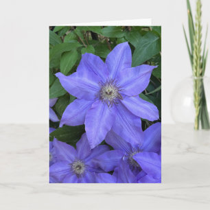 Foto einer Blume aus New England Blank Gruß Karte