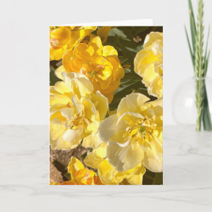 Foto einer Blume aus New England Blank Gruß Karte