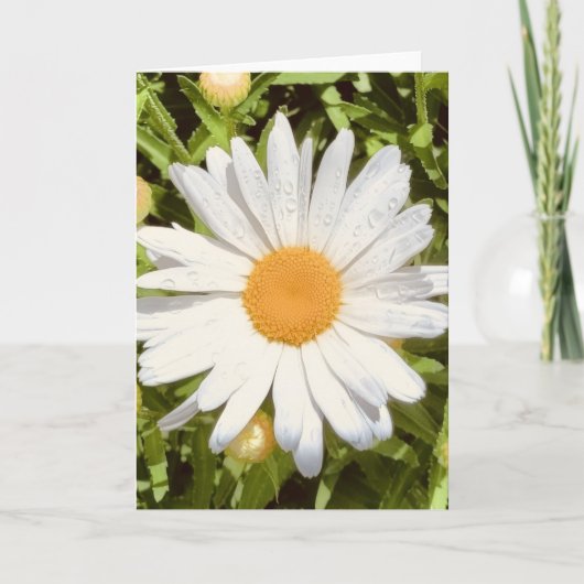 Foto einer Blume aus New England Blank Gruß Karte (Vorderseite)