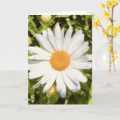 Foto einer Blume aus New England Blank Gruß Karte (Gelbe Blume)