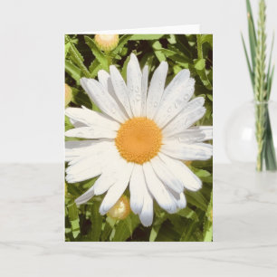 Foto einer Blume aus New England Blank Gruß Karte