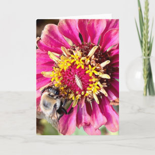 Foto einer Blume aus New England Leere Grußkarte Karte