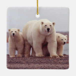 Foto einer Eisbärenfamilie mit Mutter und Jungen Keramikornament