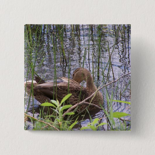 Foto einer Ente Button (Vorderseite)