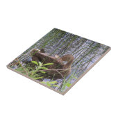 Foto einer Ente Fliese (Seite)