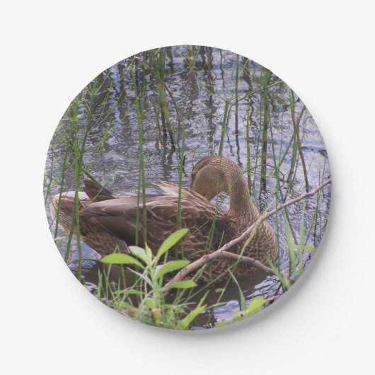 Foto einer Ente Pappteller (Vorderseite)