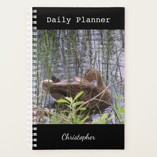 Foto einer Ente Planer (Vorderseite)