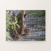 Foto einer Ente Puzzle (Horizontal)