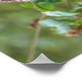 Foto einer Eule Poster (Ecke)