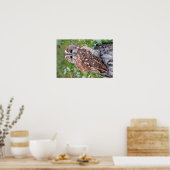 Foto einer Eule Poster (Küche)