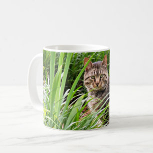 Foto einer getigerten Katze im Gras sitzend  Kaffeetasse