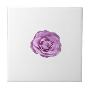 Foto einer lavenderfarbenen Rose auf einer Fliese