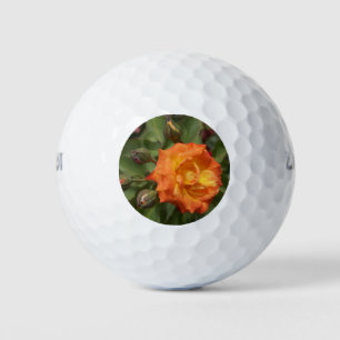 Foto einer orangen Rose und Rosenknospen Golfball
