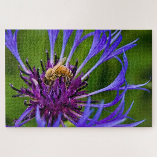Foto einer wunderschönen lila Blume mit Honigbiene Puzzle (Horizontal)