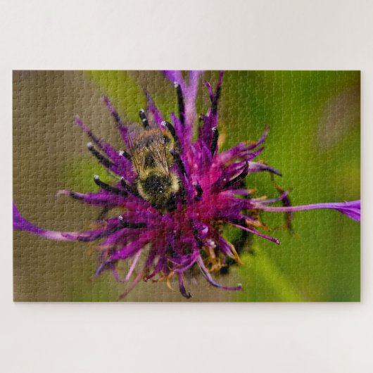 Foto einer wunderschönen lila Blume mit Honigbiene Puzzle (Horizontal)