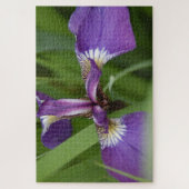 Foto einer wunderschönen, lila Iris-Blume Puzzle (Vertikal)