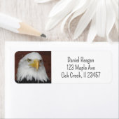 Foto eines Adlers, den ich in Dubuque, Iowa, aufge (Insitu)