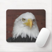 Foto eines Adlers, den ich in Dubuque, Iowa, aufge Mousepad (Mit Mouse)