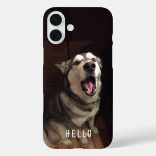 Foto eines Alaskan Malamute mit offenem Mund iPhone 16 Plus Hülle
