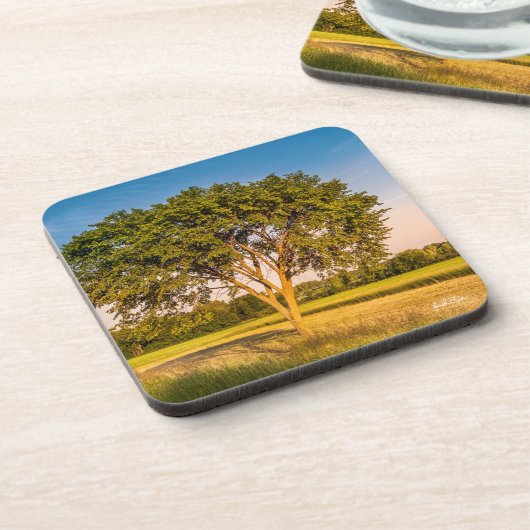 Foto eines Baumes in Feldern Untersetzer (Linke Seite)