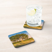 Foto eines Baumes in Feldern Untersetzer (Rechte Seite)