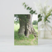 Foto eines Baumes Postkarte (Stehend Vorderseite)