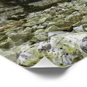 Foto eines bergigen Herbstwaldes, Berge, p Poster (Ecke)
