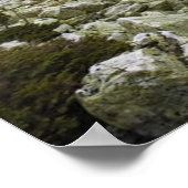 Foto eines bergigen Herbstwaldes, Berge, p Poster (Ecke)
