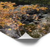 Foto eines bergigen Herbstwaldes, Berge, p Poster (Ecke)
