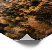 Foto eines bergigen Herbstwaldes, Berge, p Poster (Ecke)