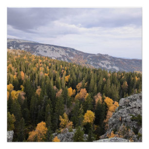 Foto eines bergigen Herbstwaldes, Berge, p Poster