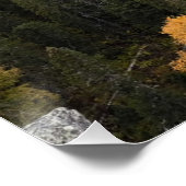 Foto eines bergigen Herbstwaldes, Berge, p Poster (Ecke)