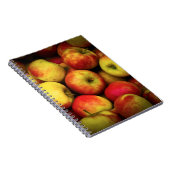 Foto eines Buschels aus Gelb- und Rotäpfeln Notizblock (Rechte Seite)