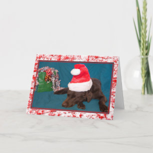 Foto eines Chocolate Labradors mit Weihnachtsmannm Feiertagskarte