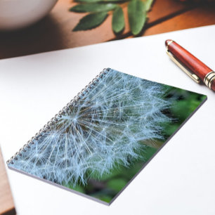 Foto eines flauschigen Löwenzahnsamenkopfes Notizblock