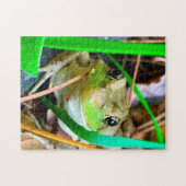 Foto eines Frosch Minnesota. Puzzle (Horizontal)