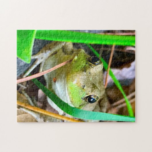 Foto eines Frosch Minnesota. Puzzle (Horizontal)