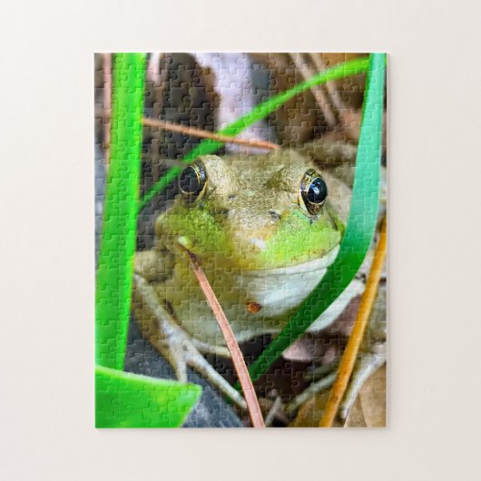 Foto eines Frosches Minnesota. Puzzle (Vertikal)