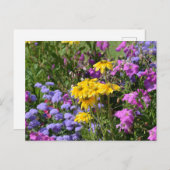 Foto eines Haufen wunderschöner farbiger Blume Postkarte (Vorne/Hinten)